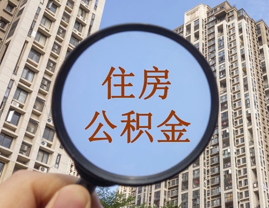 明港公积金自动离职可以取吗（住房公积金自动离职可以取吗）